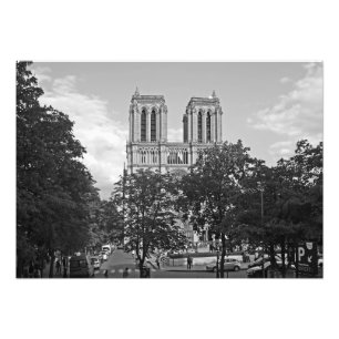 Foto Notre Dame de Paris no ambiente das árvores