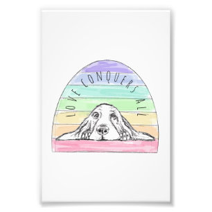 Foto o amor conquista tudo cachorro arco-íris basset ho