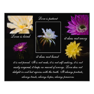 Foto O amor é paciente, o amor é gentil estilo de flor 