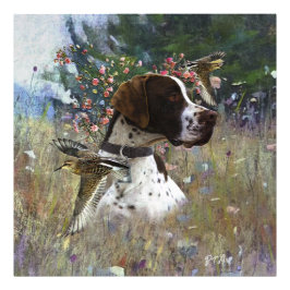 Foto O belo ponteiro no campo