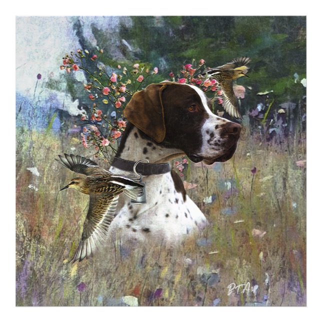 Foto O belo ponteiro no campo (Frente)