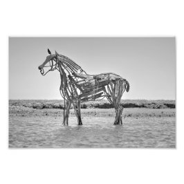 Foto O Cavalo de Salvamento, Wells-next-the-Sea