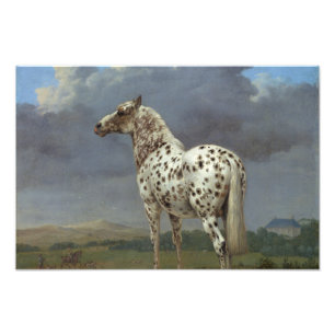 Foto O cavalo do animal malhado