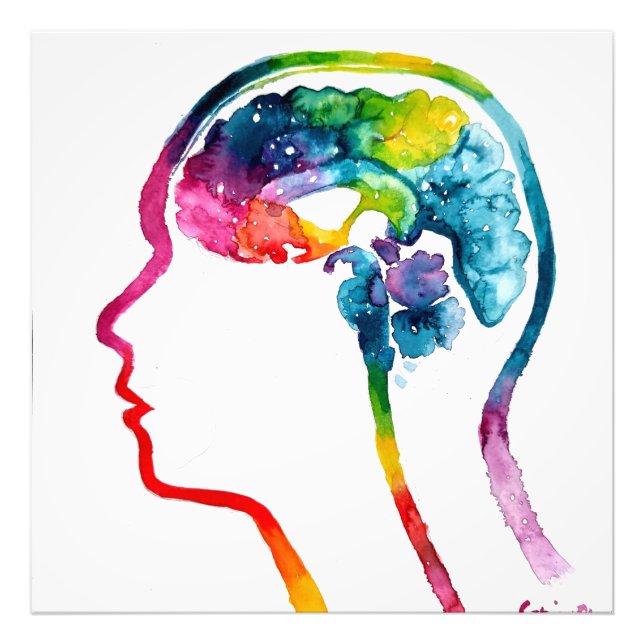 Foto O cérebro humano (Frente)