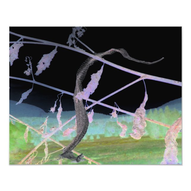 Foto "O Cobra Fakeskin" Transformado (Frente)