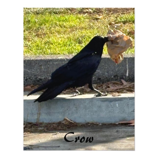 Foto O Corvo (Frente)