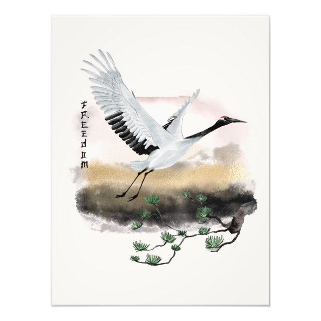 Foto O Design da Série Okinawa 12 (Frente)