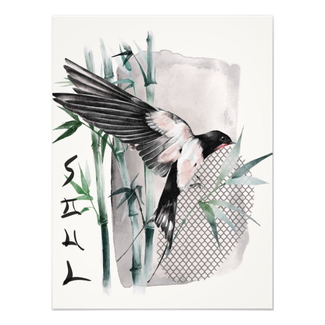 Foto O Design da Série Okinawa 14 (Frente)