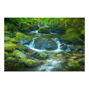 Foto O Fluxo Esmeralda do Córrego Irlandês