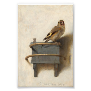 Foto O Goldfinch da Carel Fabritius