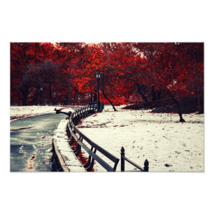 Foto O inverno encontra a queda no Central Park, NYC