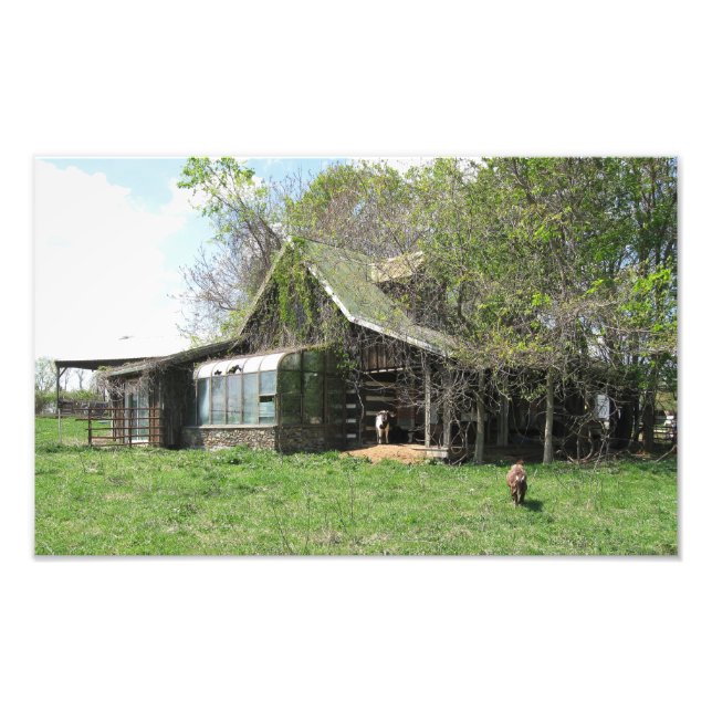 Foto O Lar dos Caprinos Antigos (Frente)