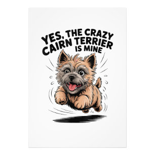 Foto O Louco Cairn Terrier é Meu