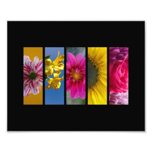 Foto O macro cor-de-rosa & amarelo floresce a paisagem