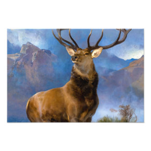 Foto O Monarca do Glen por Edwin Landseer
