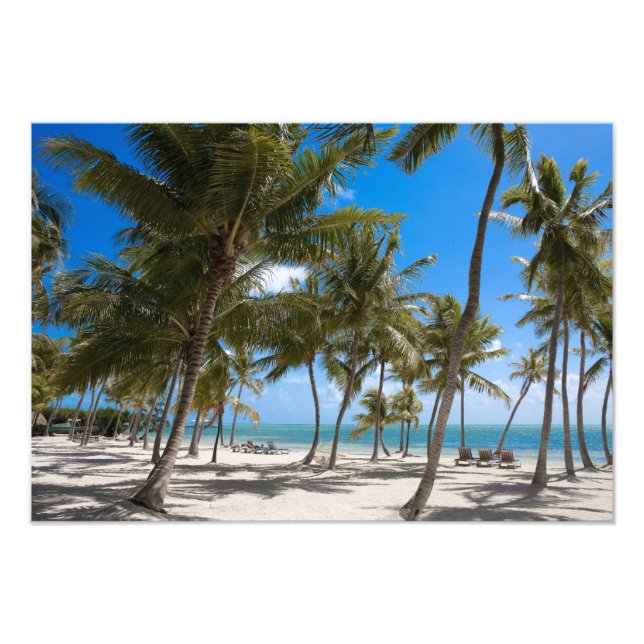 Foto O Moorings Resort, Marathon, Key West, (Frente)