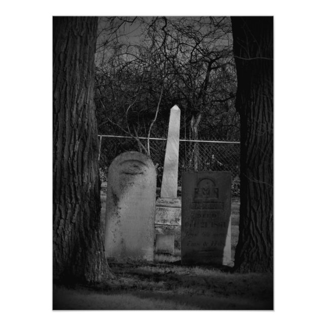 Foto "O Morbid Curioso" (Frente)