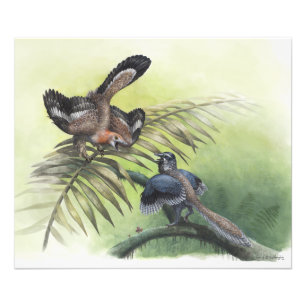 Foto O Pássaro Mais Anterior