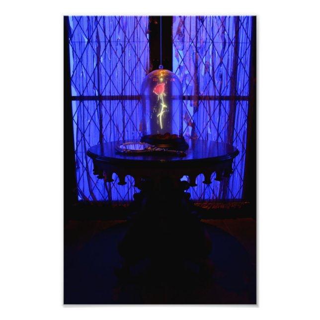 FOTO O ROSA (Frente)