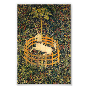 Foto O Unicórnio em cativeiro