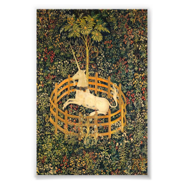 Foto O Unicórnio em cativeiro (Frente)