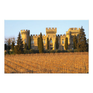 Foto O vinhedo com videiras do syrah e o castelo