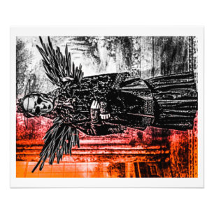 Foto O visitante 20x24