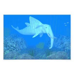 Foto O Whalfant Adorável