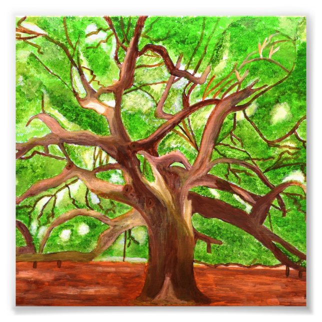 Foto Oak Tree Photo (Frente)