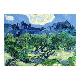 Foto Obras de Van Gogh, Oliveiras com Alpilles