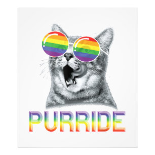 Foto Óculos de Sol Arco-íris Orgulho Gay Gato Divertido