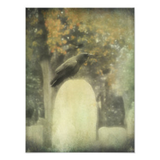 Foto Old Graveyard Raven