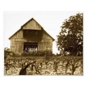 Foto Old Kentucky Cigarro Barn