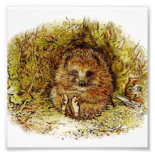 Foto "Old Mr Pricklepin", por Beatrix Potter