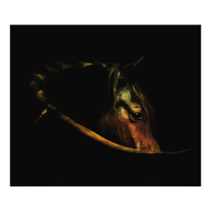 Foto Olhar Majestoso: Retrato de Cavalo de Arte Fino