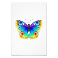 Olho Peacock da Borboleta Arco-Íris