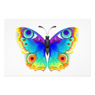 Foto Olho Peacock da Borboleta Arco-Íris