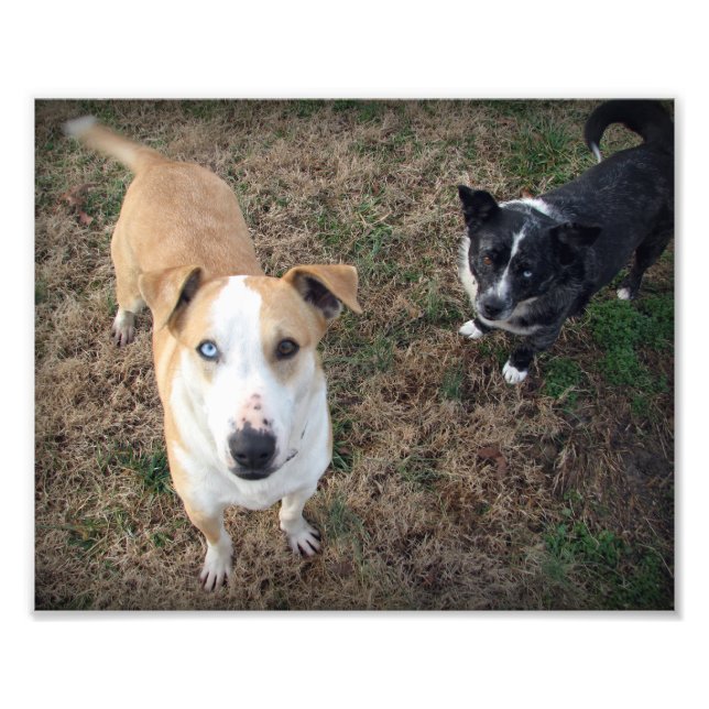 Foto olhos azuis+olhos castanhos (Frente)