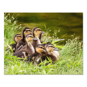 Foto Onde está a mãe?