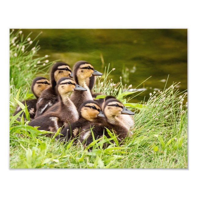 Foto Onde está a mãe? (Frente)