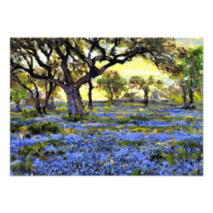 Foto Onderdonk - Árvore de Carvalho Vivo e Bluebonnets