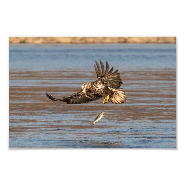 Foto Oops, Larguei. (Frente)