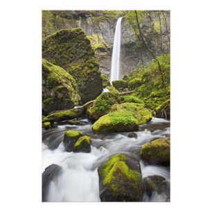 Foto OR, Columbia River Gorge, Elowah Falls e