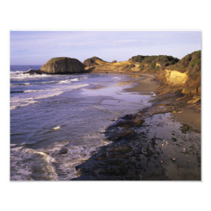 Foto OR, Costa do Oregon, Newport, litoral em Seal