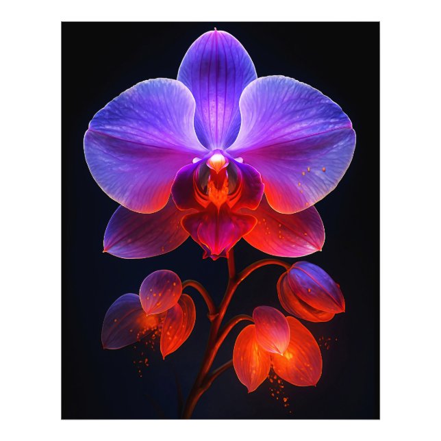 Foto Orchideen Blüte im Strahlendem Licht (Frente)