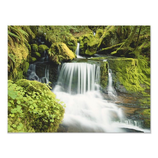 Foto Oregon, Cachoeira no parque nacional Willamette (Frente)
