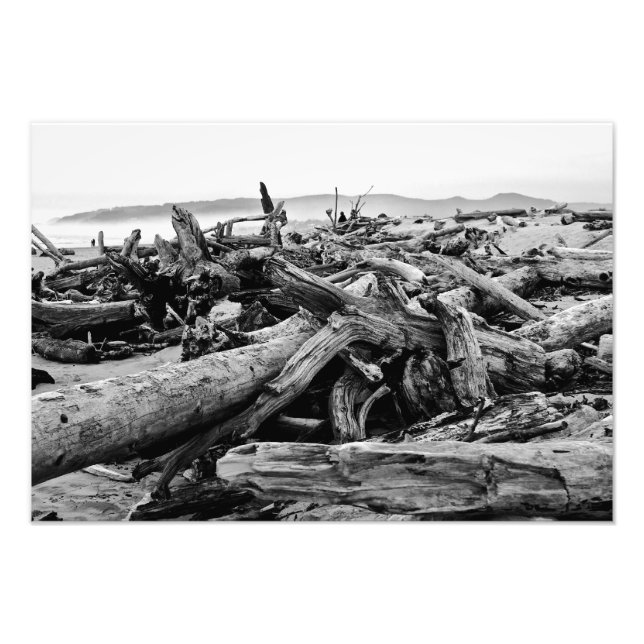 Foto Oregon Coast Driftwood Black and White Impressão (Frente)
