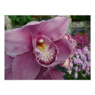 Foto Orquídea Roxa e Floral Colorida do Jardim