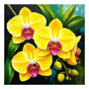 Foto Orquídeas Amarelas para Decoração de Casa e Presen