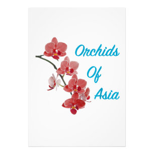 Foto Orquídeas da Ásia Day Spa